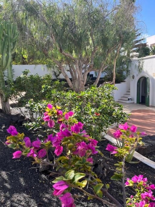 Casa Chili Διαμέρισμα Costa Teguise Εξωτερικό φωτογραφία